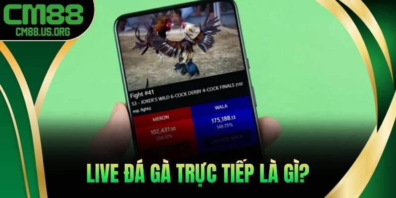 Live đá gà trực tiếp là gì?