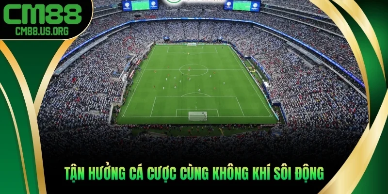 Tận hưởng cá cược cùng không khí sôi động